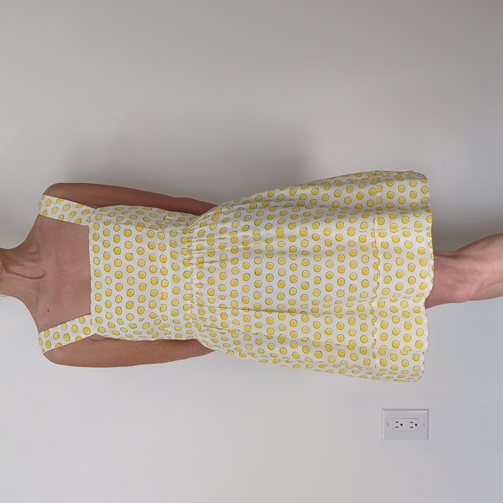 Anthropologie Hutch dress